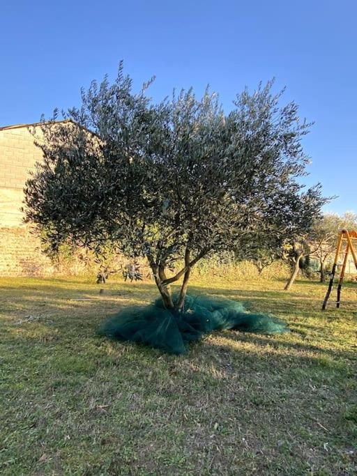 Le Nomade En Provence Bed and Breakfast Bouchet  Buitenkant foto