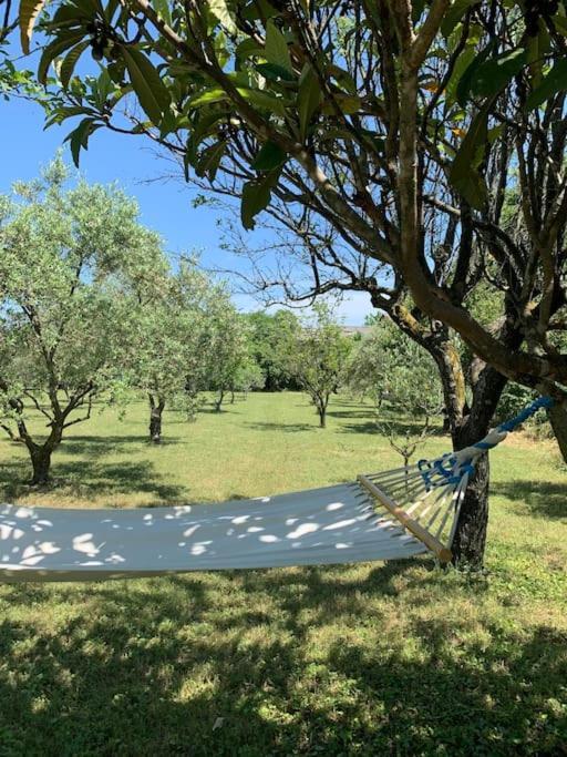 Le Nomade En Provence Bed and Breakfast Bouchet  Buitenkant foto