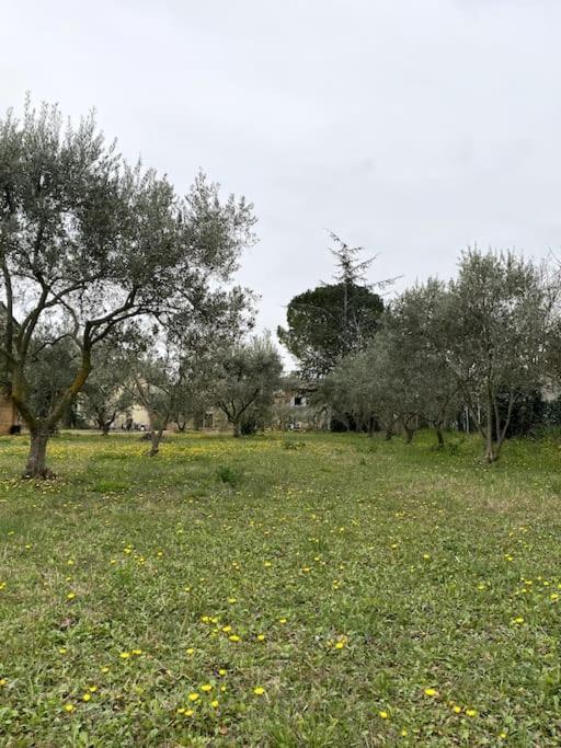 Le Nomade En Provence Bed and Breakfast Bouchet  Buitenkant foto