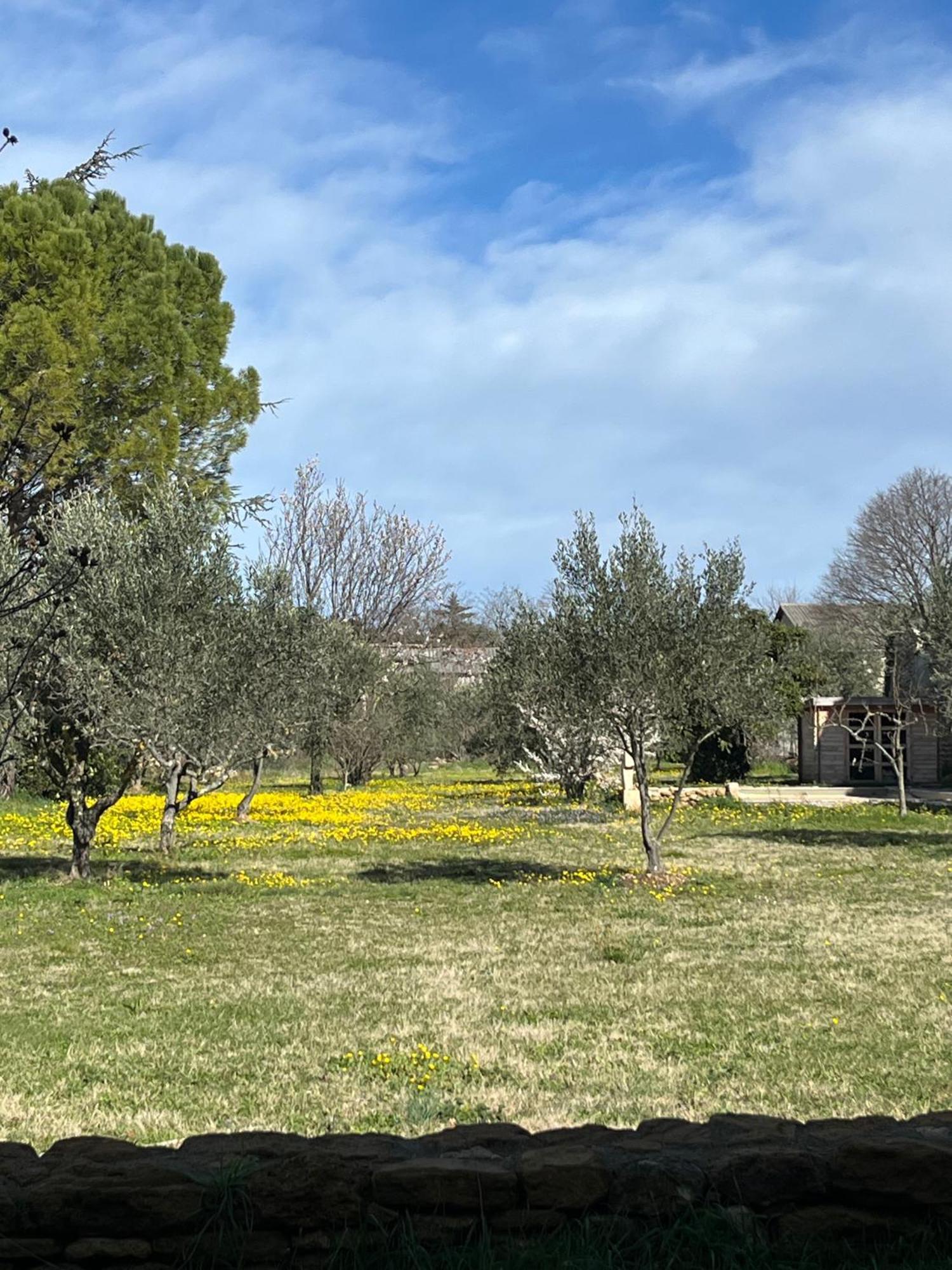 Le Nomade En Provence Bed and Breakfast Bouchet  Buitenkant foto